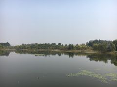 -东郊湿地公园