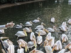 -广州长隆飞鸟乐园