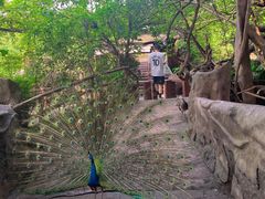-长鹿旅游休博园
