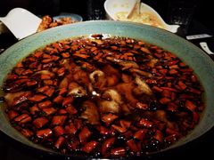 沸腾鱼片-梧桐树下(云锦世家店)