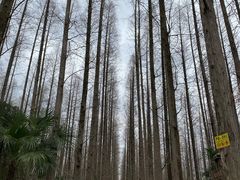 -上海怡沁园度假酒店