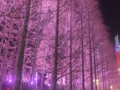 -青岛海滨风景区