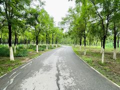 -东郊湿地公园