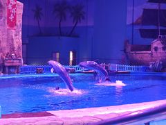 -华夏文旅海洋公园