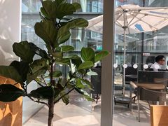 -Blueglass酸奶(财富购物中心店)