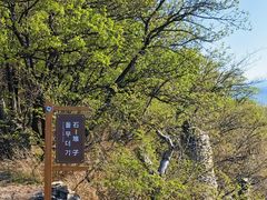 -帽儿山国家森林公园