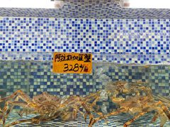 -顺德了能馆(虎门店)