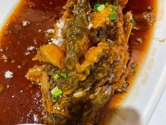 糖醋黄河鲤鱼-金春禧(世茂国际广场店)