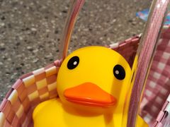 -LINLEE林里·手打柠檬茶(黄浦茂名南路店)