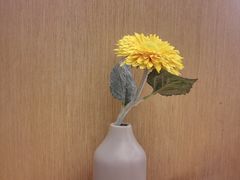 -司乎·日式鲜吐司(EFC欧美广场店)