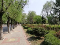 -哈尔滨师范大学(松北校区)