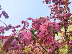 -元大都城垣遗址公园