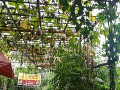 润记农庄既瓜果长廊-润记农家菜
