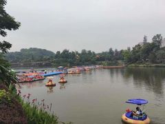 -枫香湖儿童公园