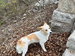 -青州市云门山风景区