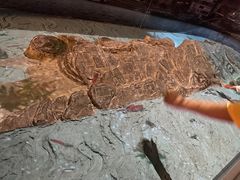 -白鹤梁水下博物馆