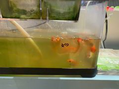 -海马体照相馆(上海月星环球港店)