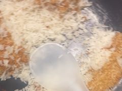 -天怡·鱼工厂(梅溪湖店)
