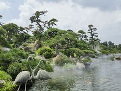 -罗红摄影艺术馆