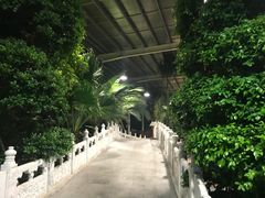 -龙达温泉生态城