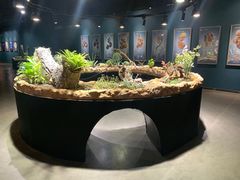 -南宫五洲植物乐园