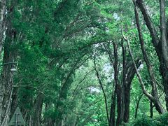 -麓湖高尔夫球俱乐部