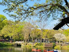 -紫金山山顶公园