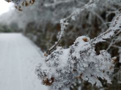 -武陵山森林公园