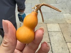-哈尔滨极乐寺