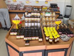 -苏州市吴中区光福窑上花果蜜饯厂