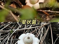 -灵山