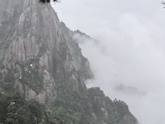 -黄山白云宾馆
