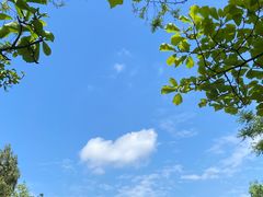 -香山公园