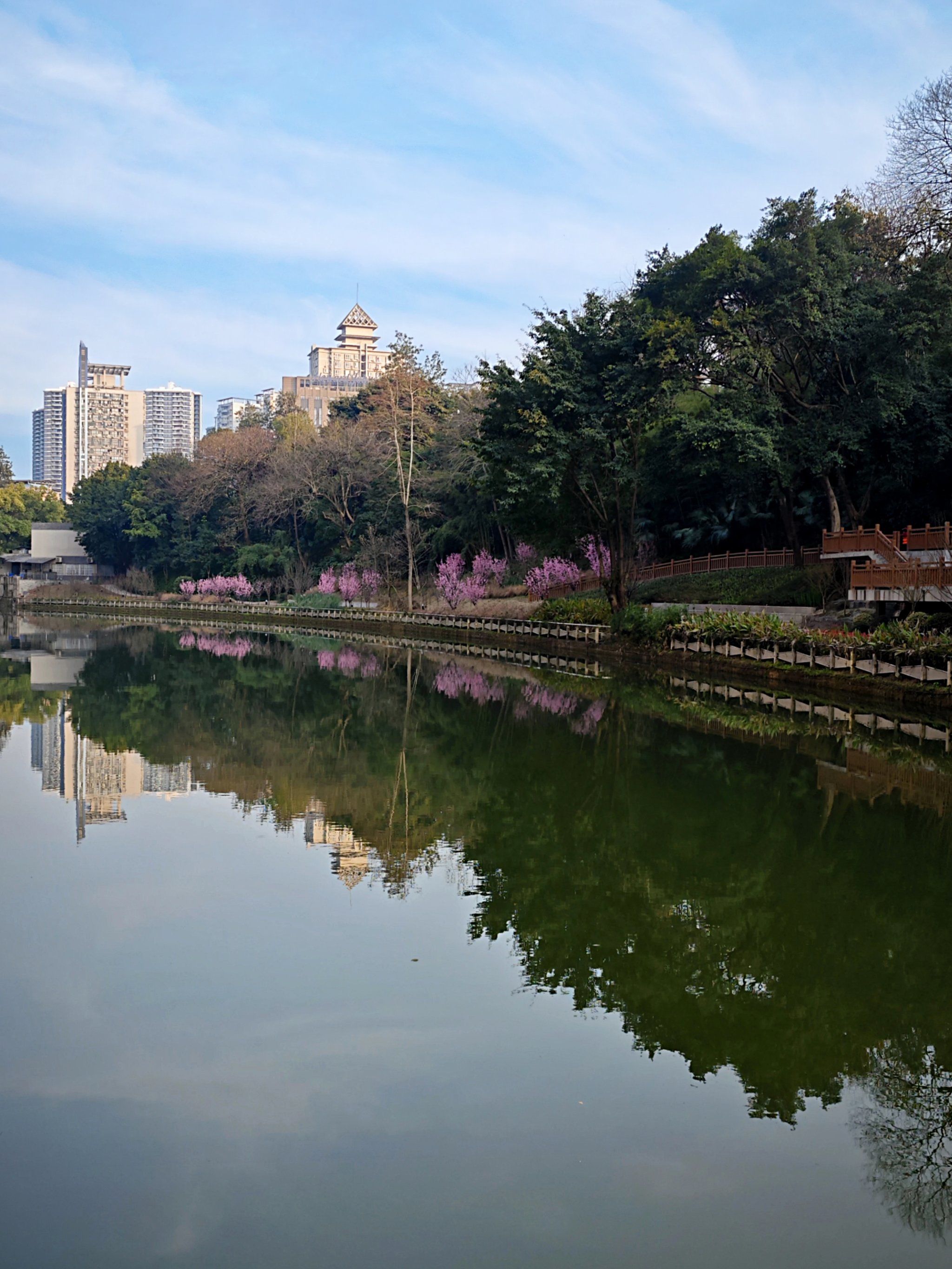 的桃花溪真是山青水绿,溪水流域最后到达了著名的彩云湖国家湿地公园