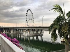 -新加坡丽思卡尔顿美年酒店