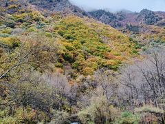 -叠溪松坪沟景区