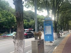 -西昌邛海湿地