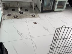-嘉馨宠物医院·CT影像转诊·心脏科·犬猫全科诊疗中心(下沙大学城院区)