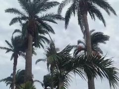 -鹅銮鼻公园