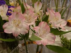 -花邻FloweringLife花艺气球派对(武康大楼店)