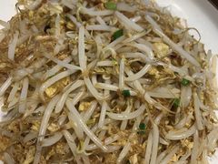 粉丝炒豆芽。-何氏排骨(左家塘店)
