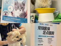 -美联众合爱康动物医院•复杂内科•肿瘤科•牙科•腔镜诊疗中心