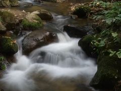 -莫里热带雨林景区
