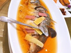 清蒸鲥鱼-金时代顺风大酒店(协泰店)