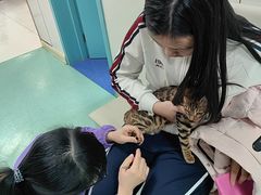 -北京观赏动物医院·24小时大型综合·猫专科·异宠专科