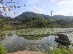 -桃花岭景区