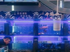 水产区-苏福记·海鲜佬(凤城四路店)