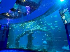 -海合安青岛极地海洋公园
