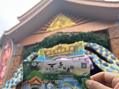 -西双版纳原始森林公园