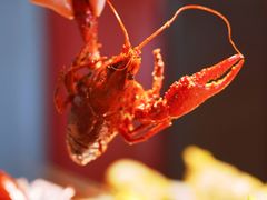 -王红军龙虾(新民路店)